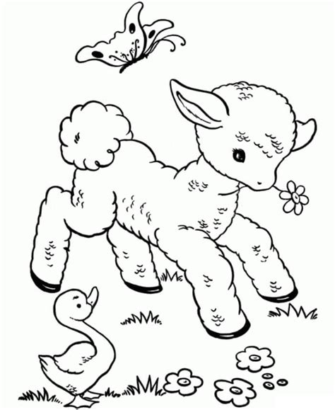 animals  spring coloring page  print  color