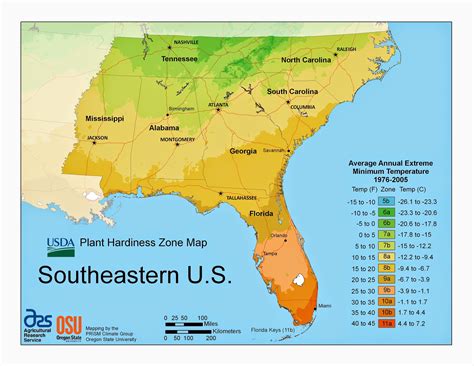 Purple Iris Perspective Usda Plant Hardiness Zones