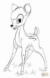 Bambi Malen Tiere Malvorlagen Supercoloring Bamby Raubkatzen Cerbiatto Zeichnung Charaktere Zeichnungen Schritt Animati H121 Lernen Malvorlagentv sketch template