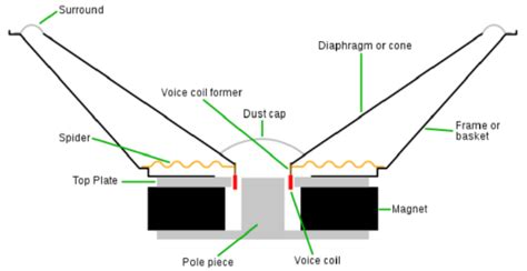 parts   main speaker  scientific diagram