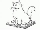 Gatos Dibujos Mundogatos Persa Kucing Gambar Cao Cachorro Coloring Putih Hitam Diario Branco Words قطط Dibujoscolorear sketch template