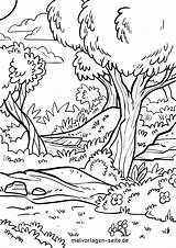 Wald Ausmalbild Ausmalbilder Malvorlage Waldtiere Tiere Kinderbilder Herunterladen Laubwald Großformat sketch template