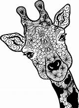 Giraffe Colouring Cricut sketch template