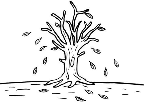 images  tree  pinterest coloring pages trees   tree