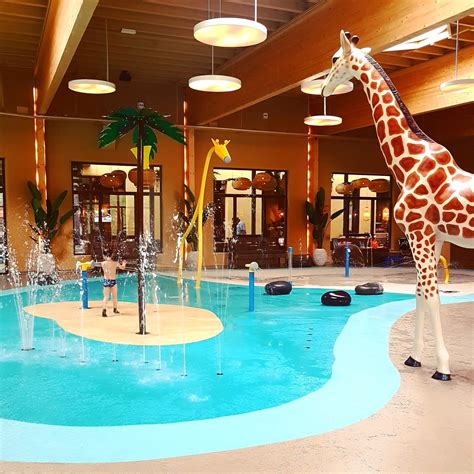 safari resort beekse bergen zwembad  leuk met kids