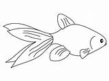 Poisson Goldfish Rouge Fish Coloring Pages Dessin Kids Coloriage Imprimer Printable Colorier Dessins Print Drawing Un sketch template