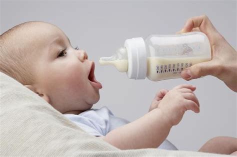 feed  baby water  paediatrician explains