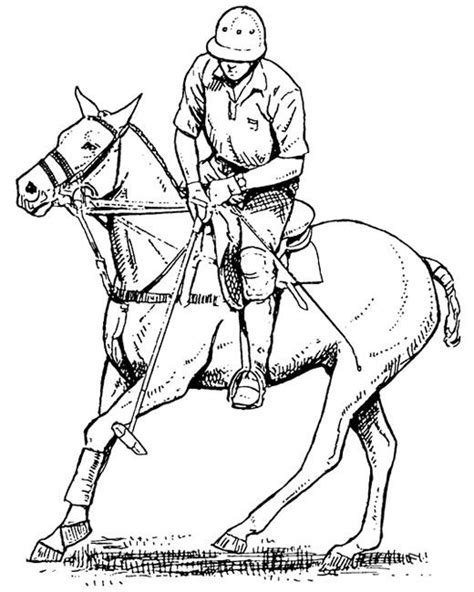 polo coloring pages  coloring pages  kids