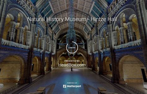 travel natural history museum london launches  virtual