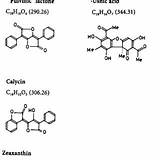 Lichen Molecular Chemicals sketch template