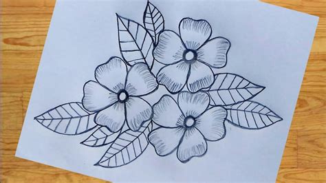 collection  amazing flower drawing images  full  resolution