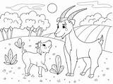 Goat Families Coloriage Boek Beeldverhaal Kleurend Weide Geiten Prato Fumetto Famiglia Capre Goatling Livre Illustration Goats Meadow Cricut sketch template