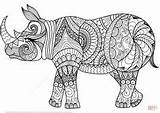 Coloring Mandala Rhinoceros Adult Bücher Ausmalen Enders Fantastisches Tiere Marielle Reich Der Amazon Zentangle Printable Pages Click sketch template