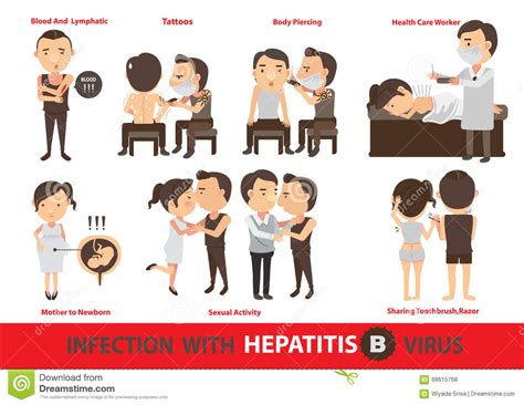 infection hepatitis b stock vector illustration of carrier 68615768