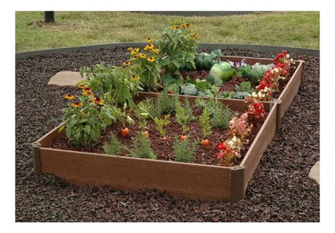 buy dzvexwooden raised vegetable garden bed planter kit grow