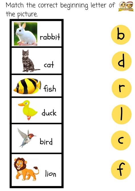 beginning letter sound interactive worksheet kindergarten