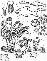 Underwater Coloring Pages Animals Colouring Creatures Results Need Color sketch template