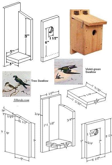 swallow bird house birdhouses bird house kits homemade bird houses bird houses