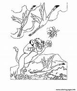 Coloring Pages Lion King Simba Chasing Birds Printable Games County Fair Popular Library Clipart sketch template