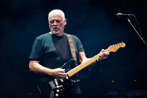 pink floyds david gilmour  selling  guitars  charity rolling stone