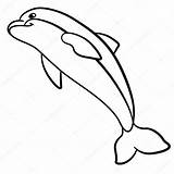 Animali Delfin Marini Delfino Selvatici Kolorowania Disegno Piccolo Carino Salta Pesce Dolphin Migliore Pi Szkic sketch template