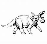 Triceratops Coloring Coloringcrew Animals sketch template