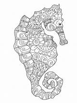 Volwassenen Seahorse Zeepaardje Verbnow Wektor Dorosłych Kolorystyki Dla Panchenko Viktoriia Konia sketch template