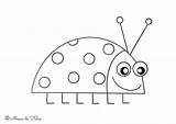 Colorare Coccinelle Stampa Disegno Portalebambini sketch template