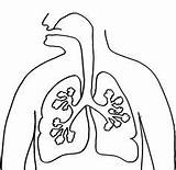 Lungs Coloring Getcolorings Childhood Early sketch template