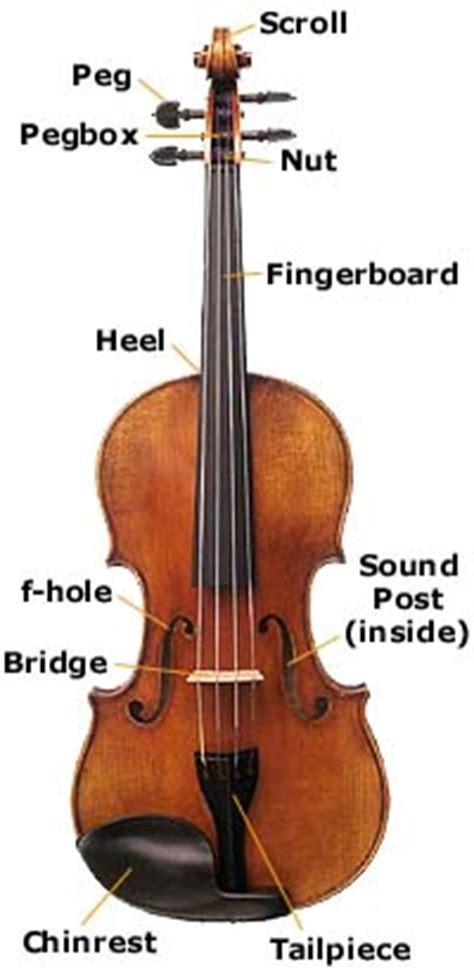violin family instruments  parts
