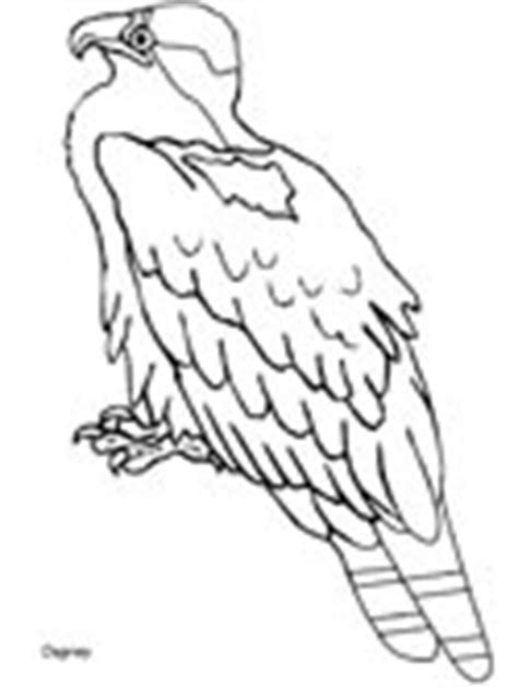 canadian animals coloring pages