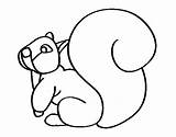 Tail Coloring Squirrel Large Colorear Coloringcrew sketch template