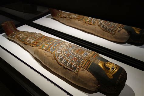 File Mummy Of Adult Male Egypt Ptolemaic Period 332 Bc