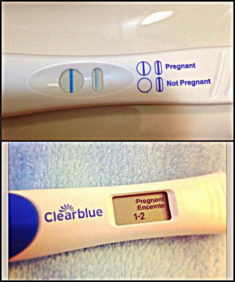 Mrs Cb In Bc Dollarama Pregnancy Test