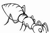 Ants Coloring Pages Collecting Orange Two sketch template