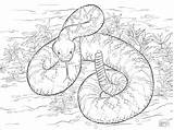 Rattlesnake Diamondback Klapperschlange Snake Rattle Serpent Dangerous Anaconda Snakes Coloringtop Designlooter Coloringbay Crotale Bezoeken Colorier Parentune Kategorien Neocoloring 360px 69kb sketch template