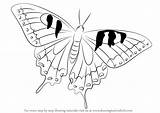 Butterfly Swallowtail Draw Drawing Step Butterflies Tutorials sketch template