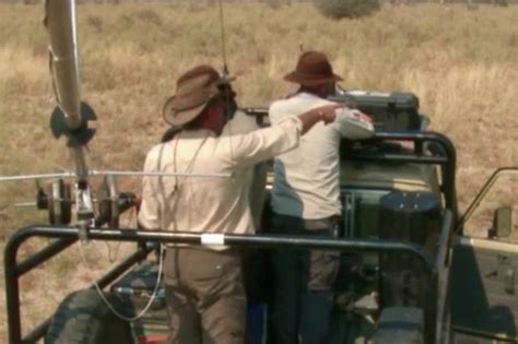 Leopard Charges At Bbc Spy In The Wild Film Crew In Horror