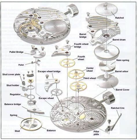 image result  diagram  pocket   gears  design horology