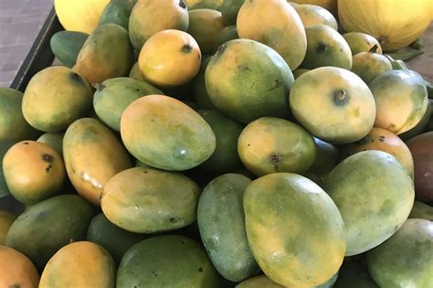 Mango Obsession How To Eat Them For Breakfast Lunch Dinner And Dessert