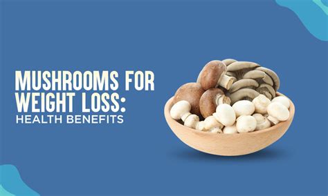 Mushrooms For Weight Loss Most Important Health Benefits