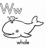 Clipart Orca Coloring Whale Webstockreview Excellent sketch template
