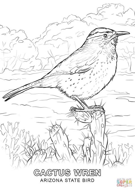 pin  jocelyn tillery   vacation bird coloring pages detailed