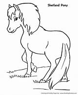 Coloring Horse Pages Pony Shetland Printable Honkingdonkey Horses Print Kids sketch template