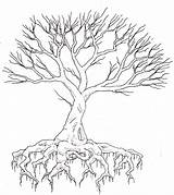 Tree Roots Drawing Drawings Dead Tattoo Half Trees Simple Alive Cliparts Outline Draw Easy Deviantart Getdrawings Life Sketches Pencil Paintingvalley sketch template