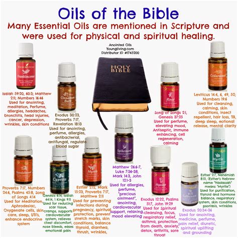 anointed oils oils   bible