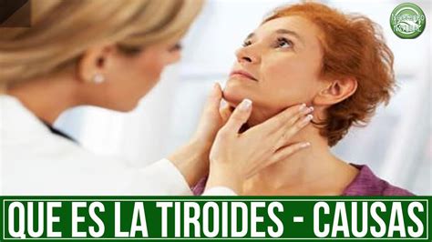 tiroides que es causas sintomas hipotiroidismo e hipertiroidismo youtube