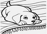 Coloring Pages Puppy Printable Getcolorings Print sketch template