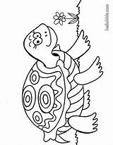 Schildpad Tortuga Kleurplaten Kleurplaat Imprimir Hellokids Tortugas Frog Coloriage Colorir Tortue Tartaruga Fofa Adults Iluminar Printen Schattige Tekenen Turtles Colorier sketch template