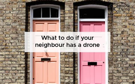 neighbour   drone  steps